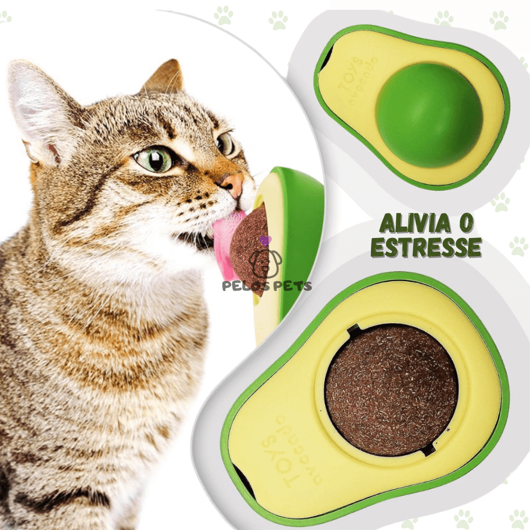 AbaCat - PROMOÇÃO!