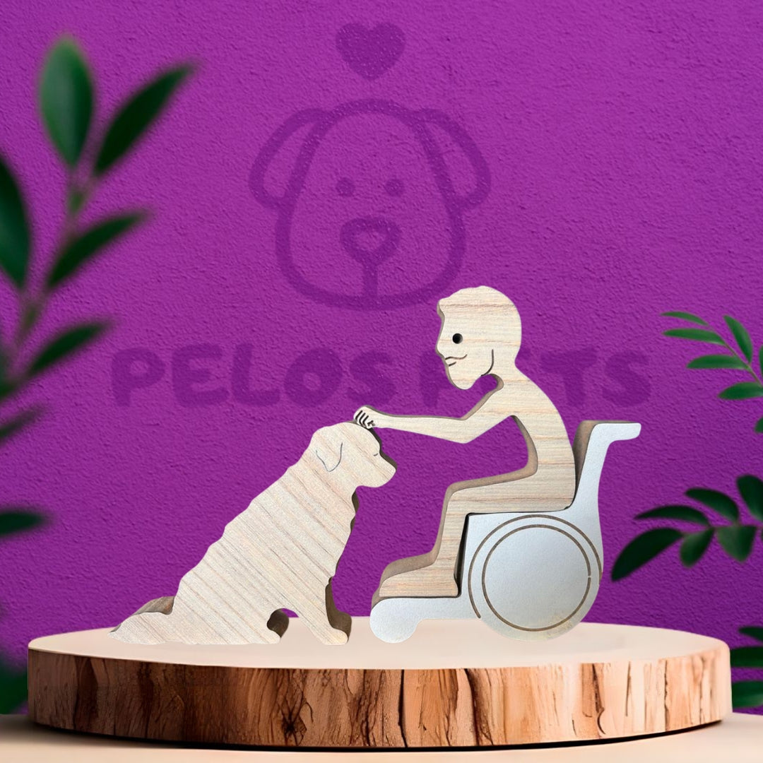 Humano Cadeirante e Pet