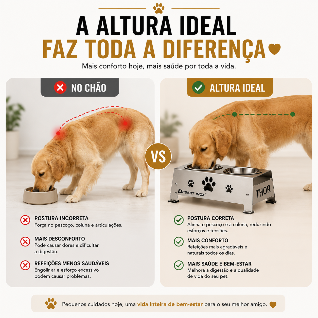 Comedouro Elevado Inox 304 Personalizado