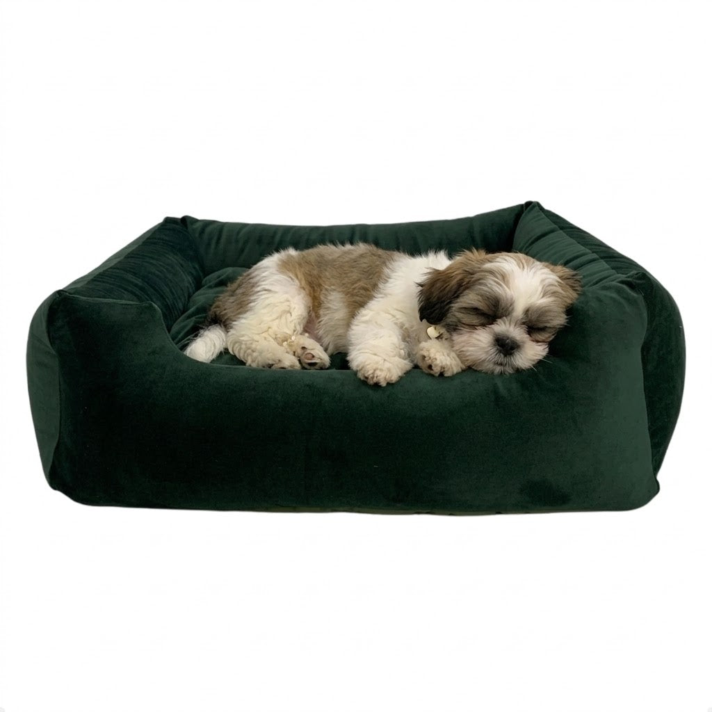 Caminha NuvemPet com Enchimento Siliconado e Zíper Removível