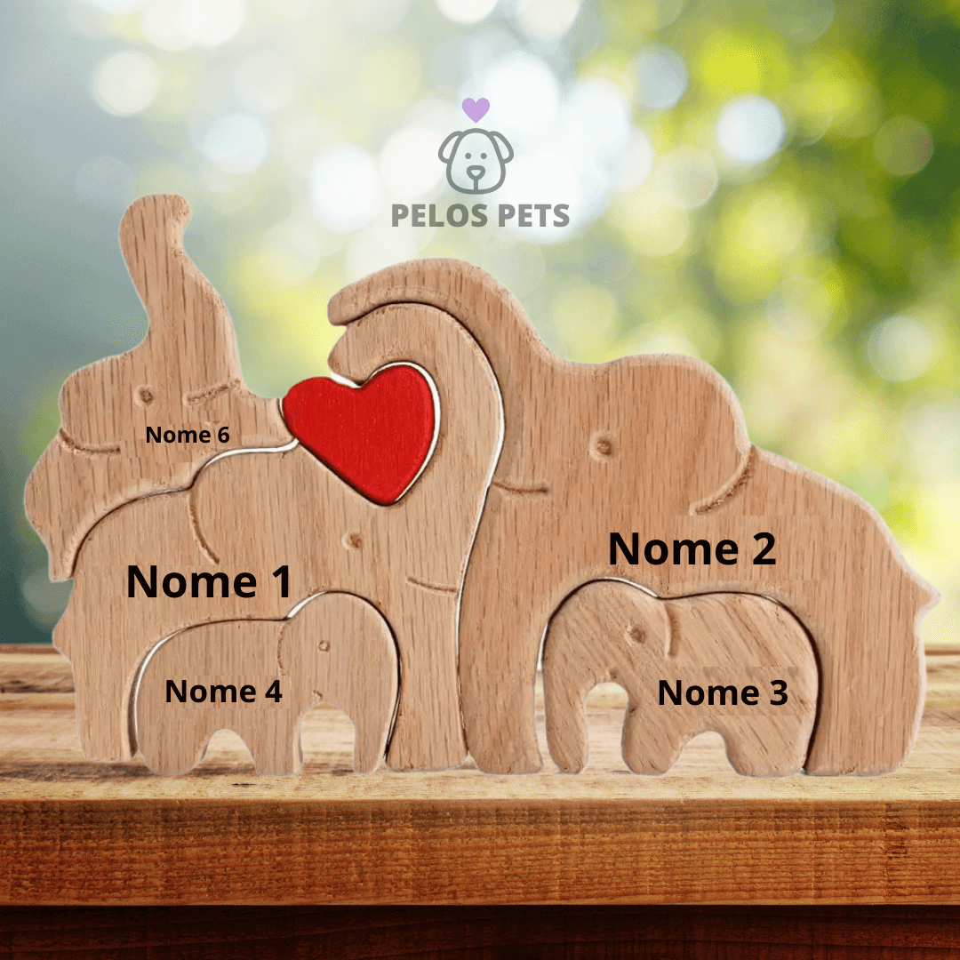 Elephant family
