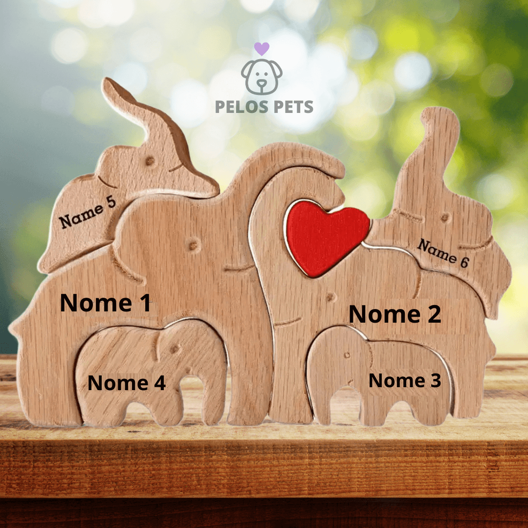 Elephant family