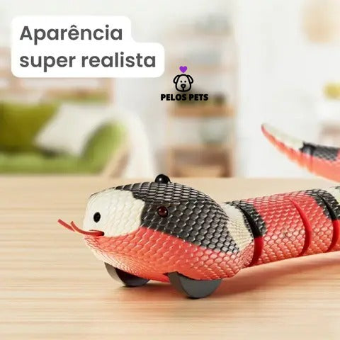 Funny Snake!