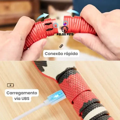 Funny Snake!