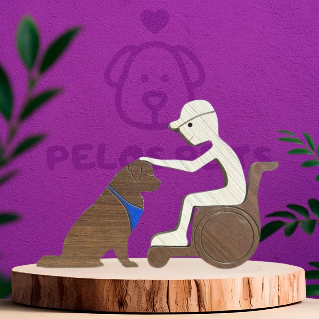 Humano Cadeirante e Pet