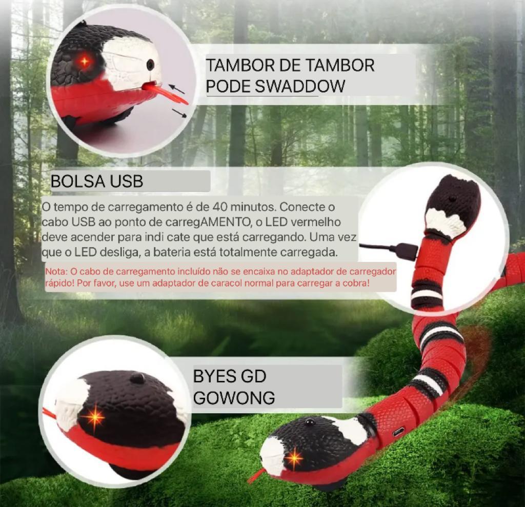 Funny Snake!