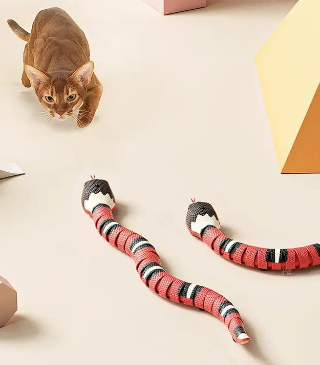 Funny Snake!