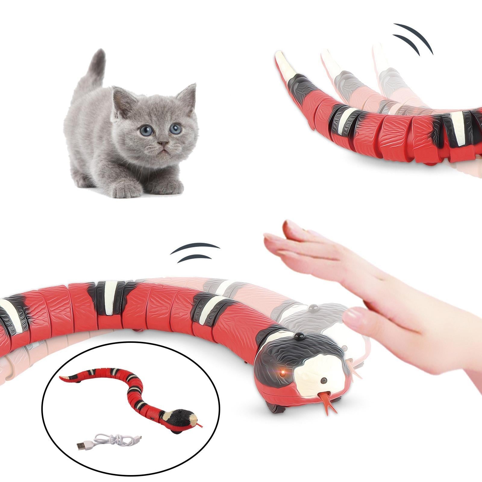 Funny Snake!